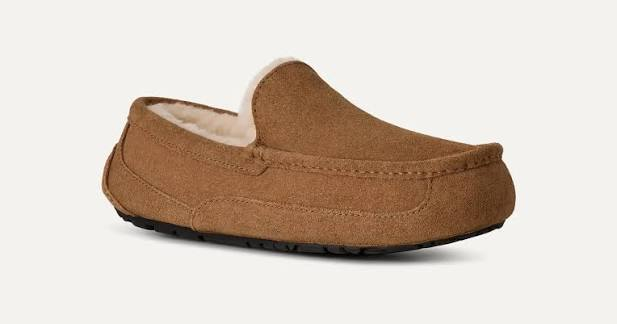 Men's Ascot Sheepskin Suede Slipper