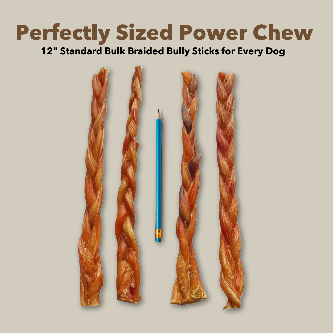 12" Standard Braided Bulk Bully Sticks by Mighty Chewz