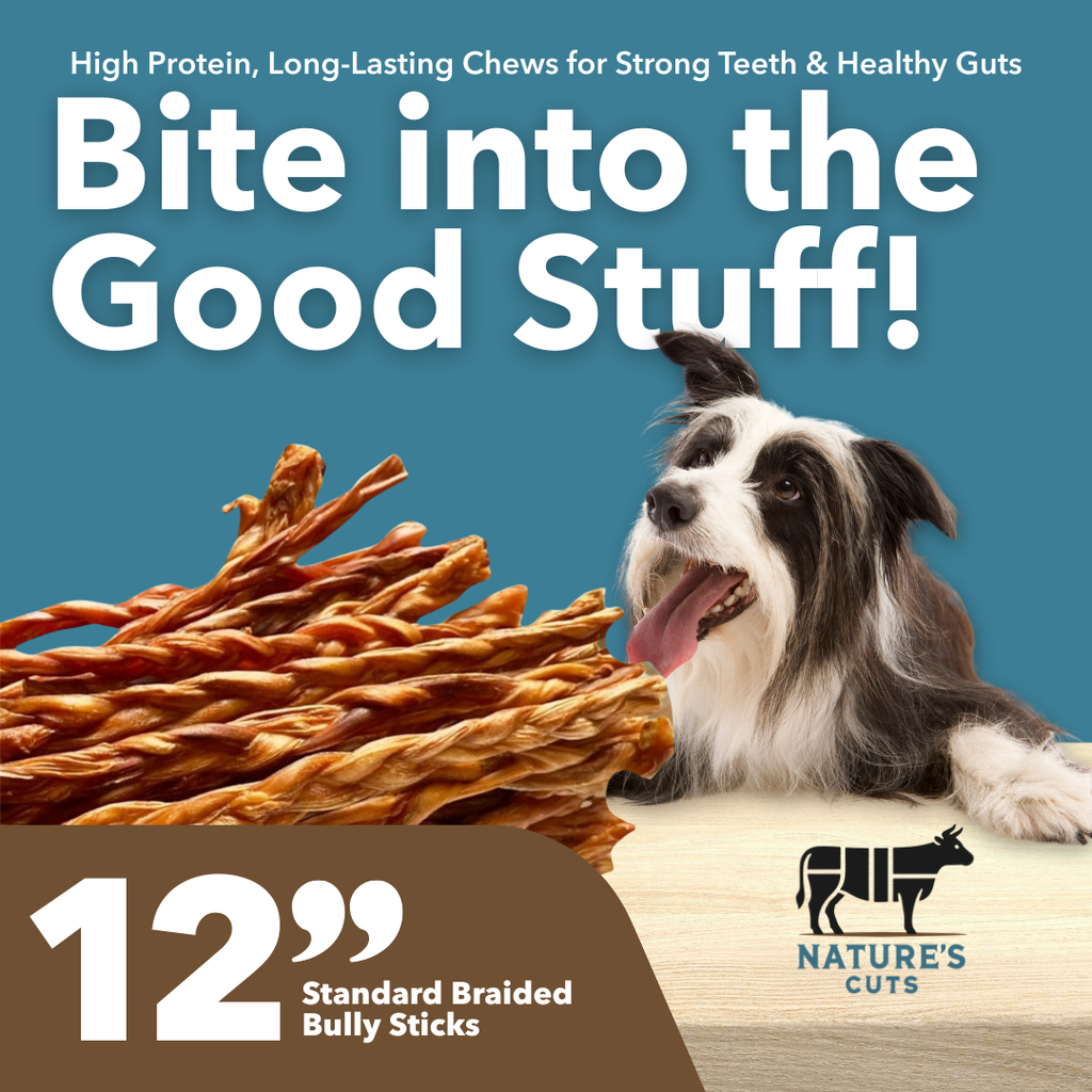 12" Standard Braided Bulk Bully Sticks by Mighty Chewz