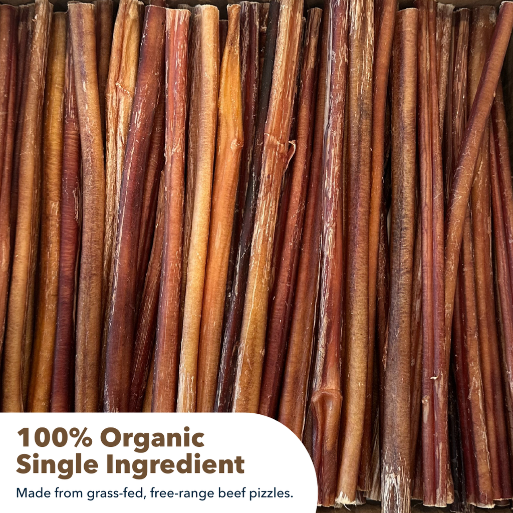 12" Standard Bulk Bully Sticks by Mighty Chewz