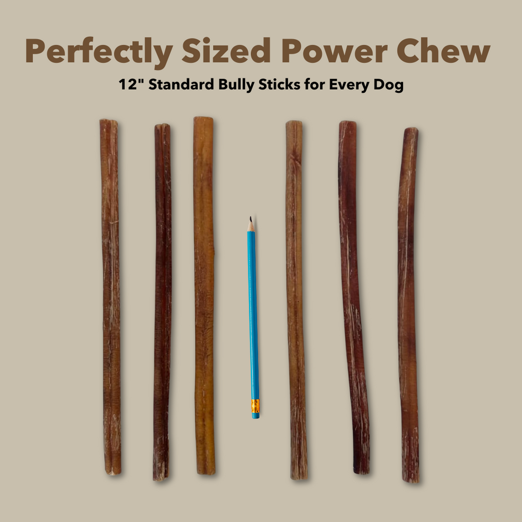 12" Standard Bulk Bully Sticks by Mighty Chewz