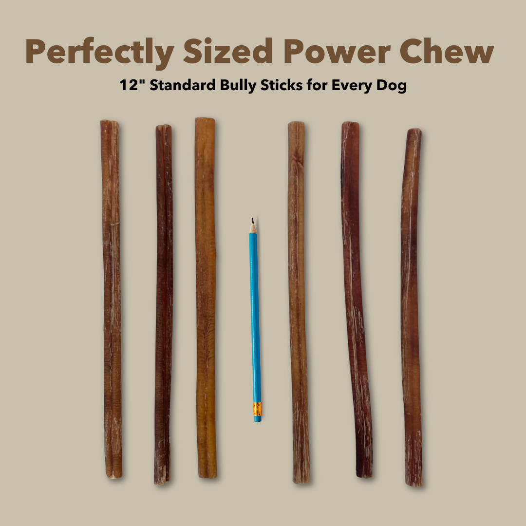 12" Standard Bulk Bully Sticks by Mighty Chewz