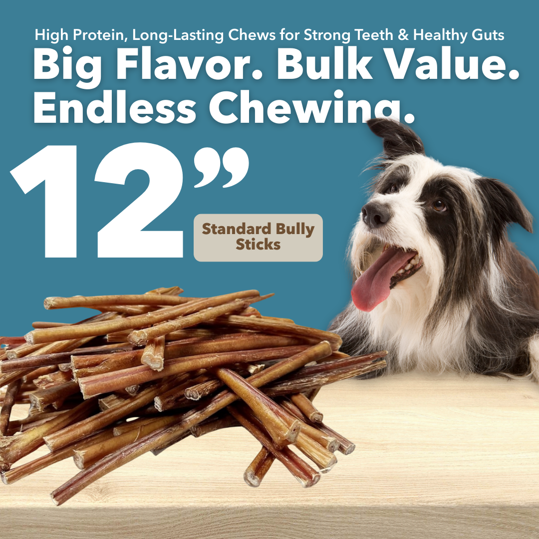 12" Standard Bulk Bully Sticks by Mighty Chewz