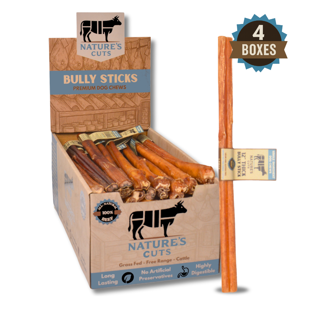 12" Thick Bully Sticks Display Box by Mighty Chewz