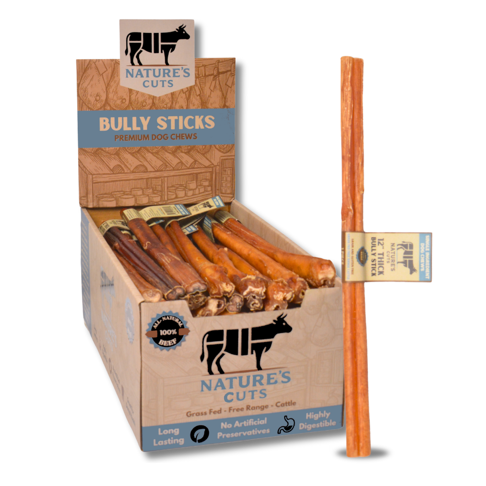 12" Thick Bully Sticks Display Box by Mighty Chewz
