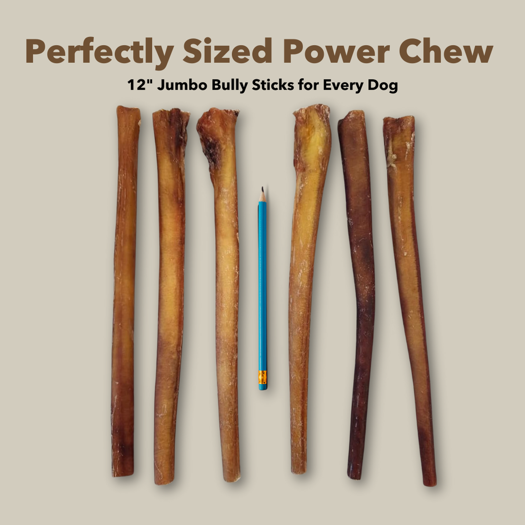12" Jumbo Bulk Bully Sticks by Mighty Chewz