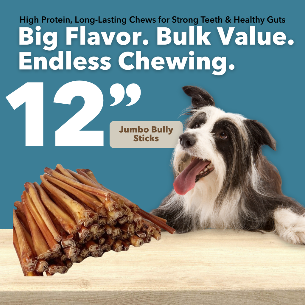 12" Jumbo Bulk Bully Sticks by Mighty Chewz