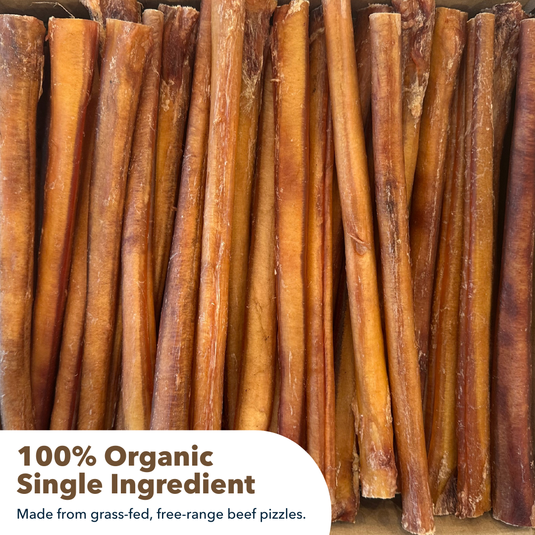12" Jumbo Bulk Bully Sticks by Mighty Chewz