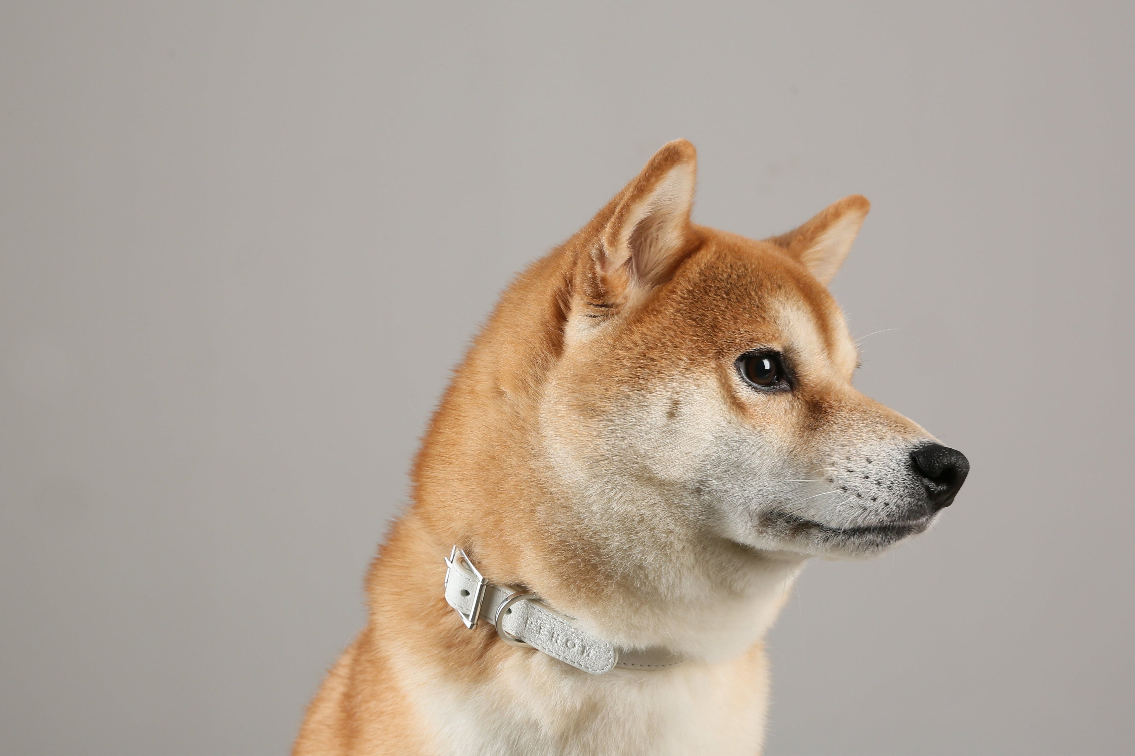 Andersen Calfskin Pet Collar
