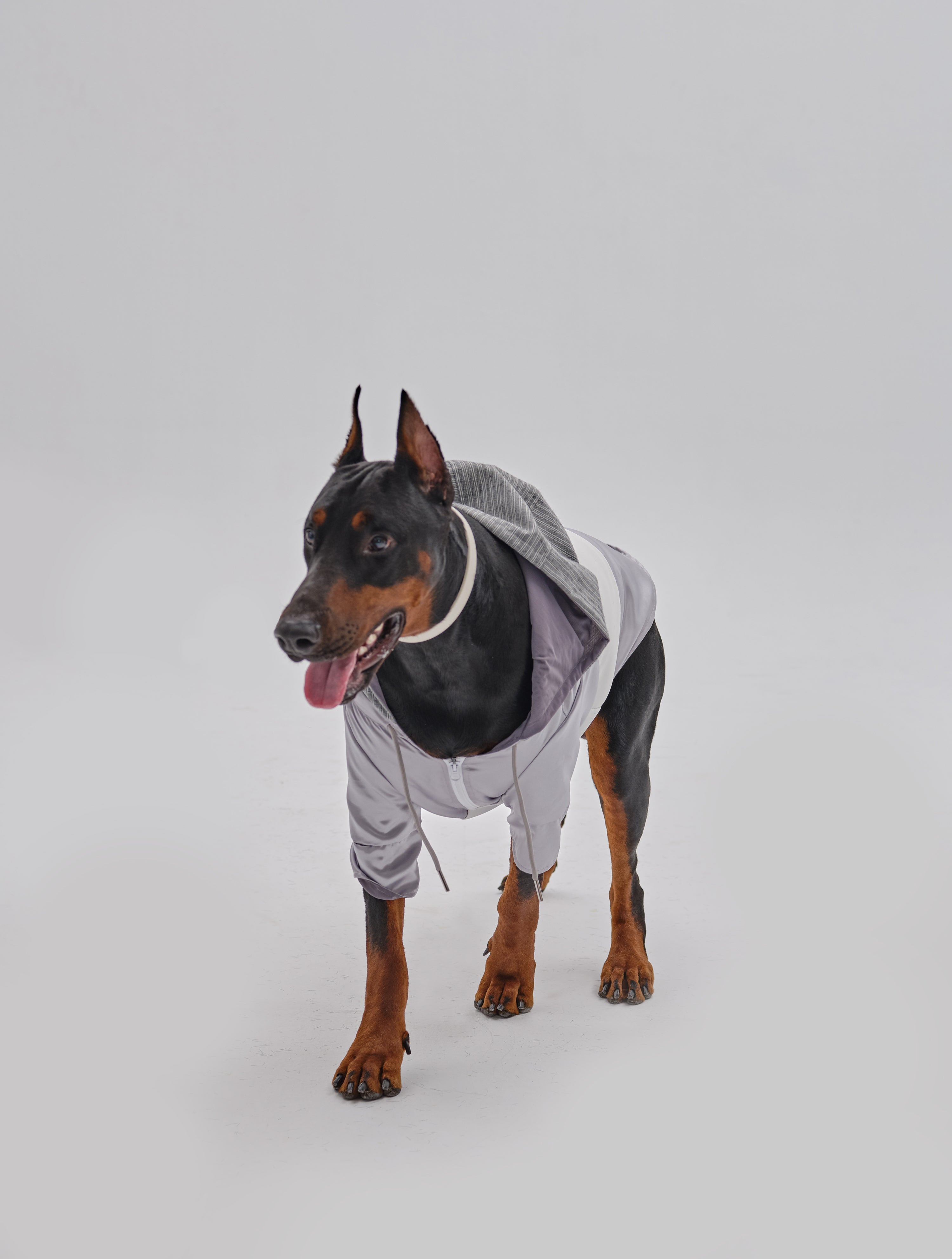 Neoprene Zip Hoodie