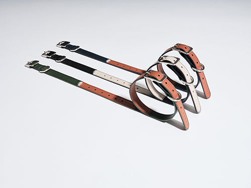 HART DOUBLE COLORS COLLAR - BLUE ORANGE