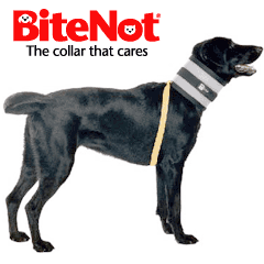 BN4 - Bite Not Collar (10-17lbs.)