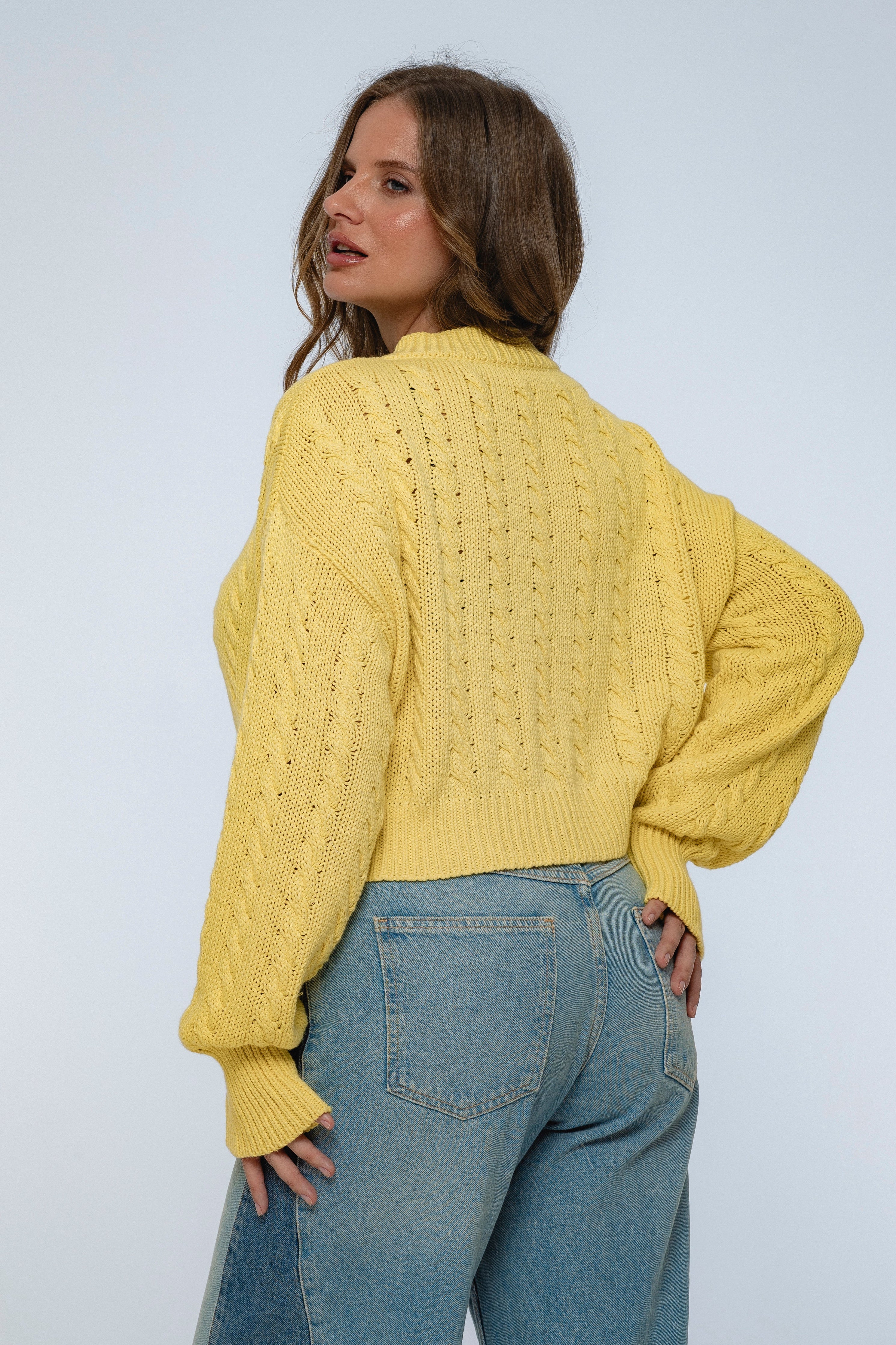 Parisse Cropped Knitted Cardigan