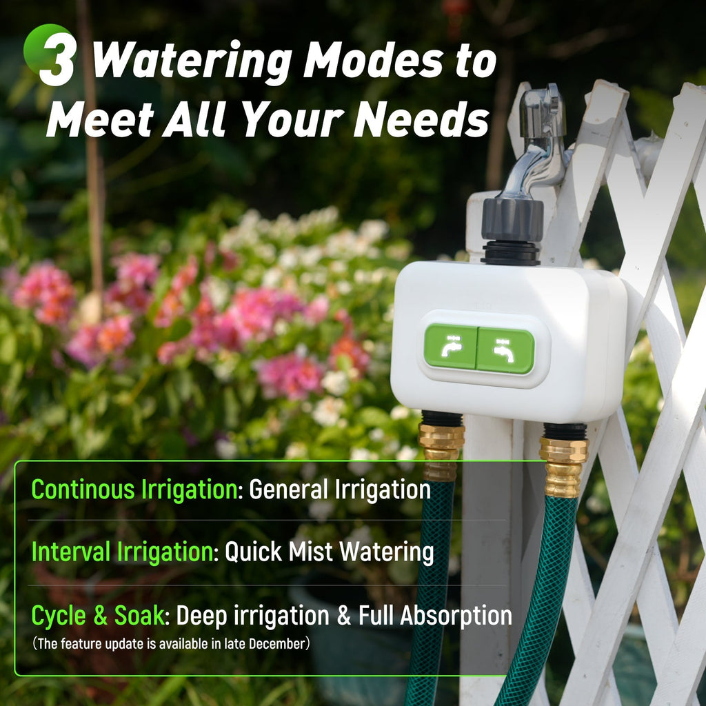 RainPoint 2-Zone Smart Wi-Fi Water Timer with Hub – Automatic Garden Irrigation System with App Control & Rain Delay by BALDR Electronic