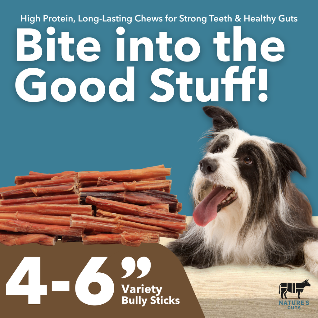 4-6" Variety Bully Sticks by Mighty Chewz
