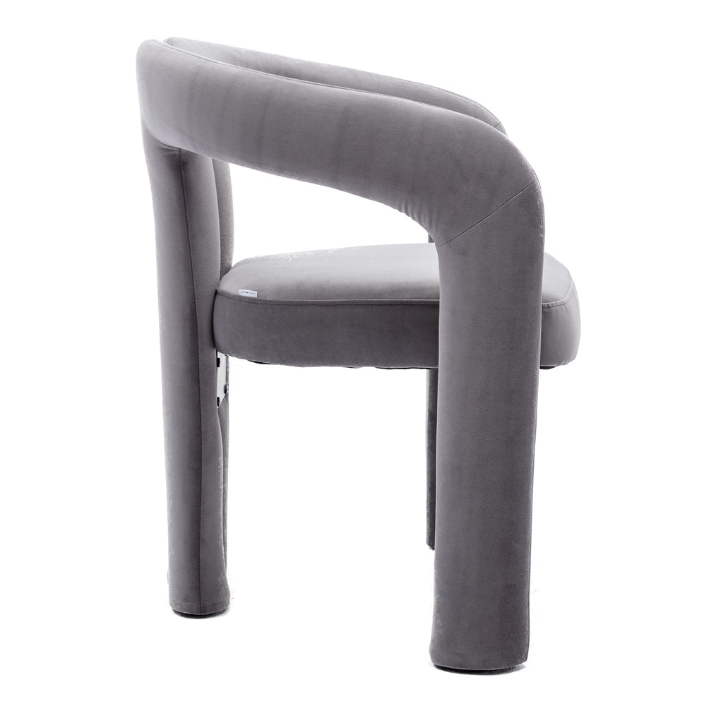 Set of 2 Contemporary Upholstered Accent Chair