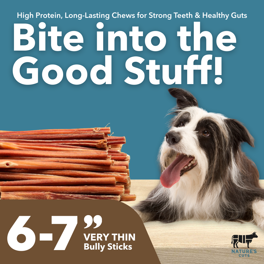 Very Thin Bulk Bully Sticks by Mighty Chewz