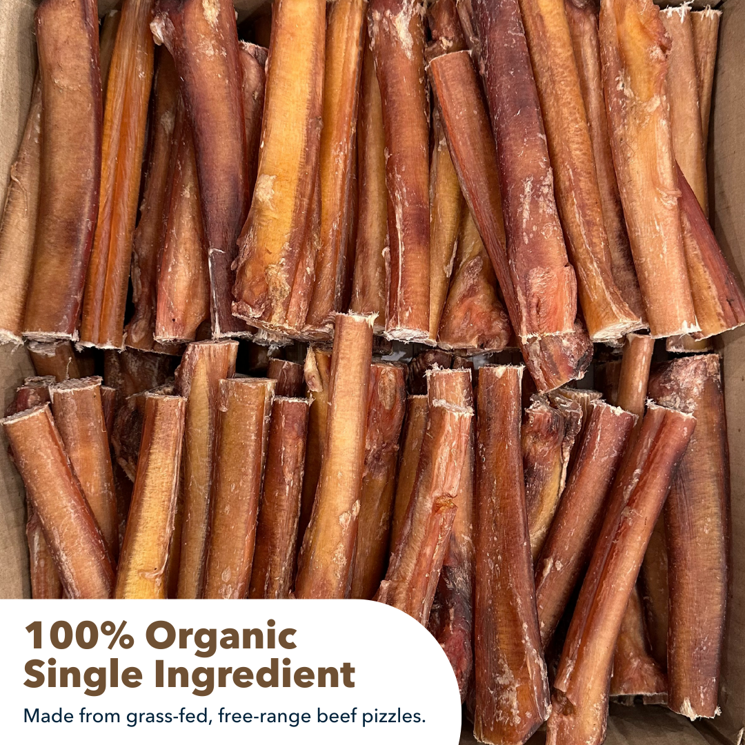 6" Jumbo Bulk Bully Sticks by Mighty Chewz