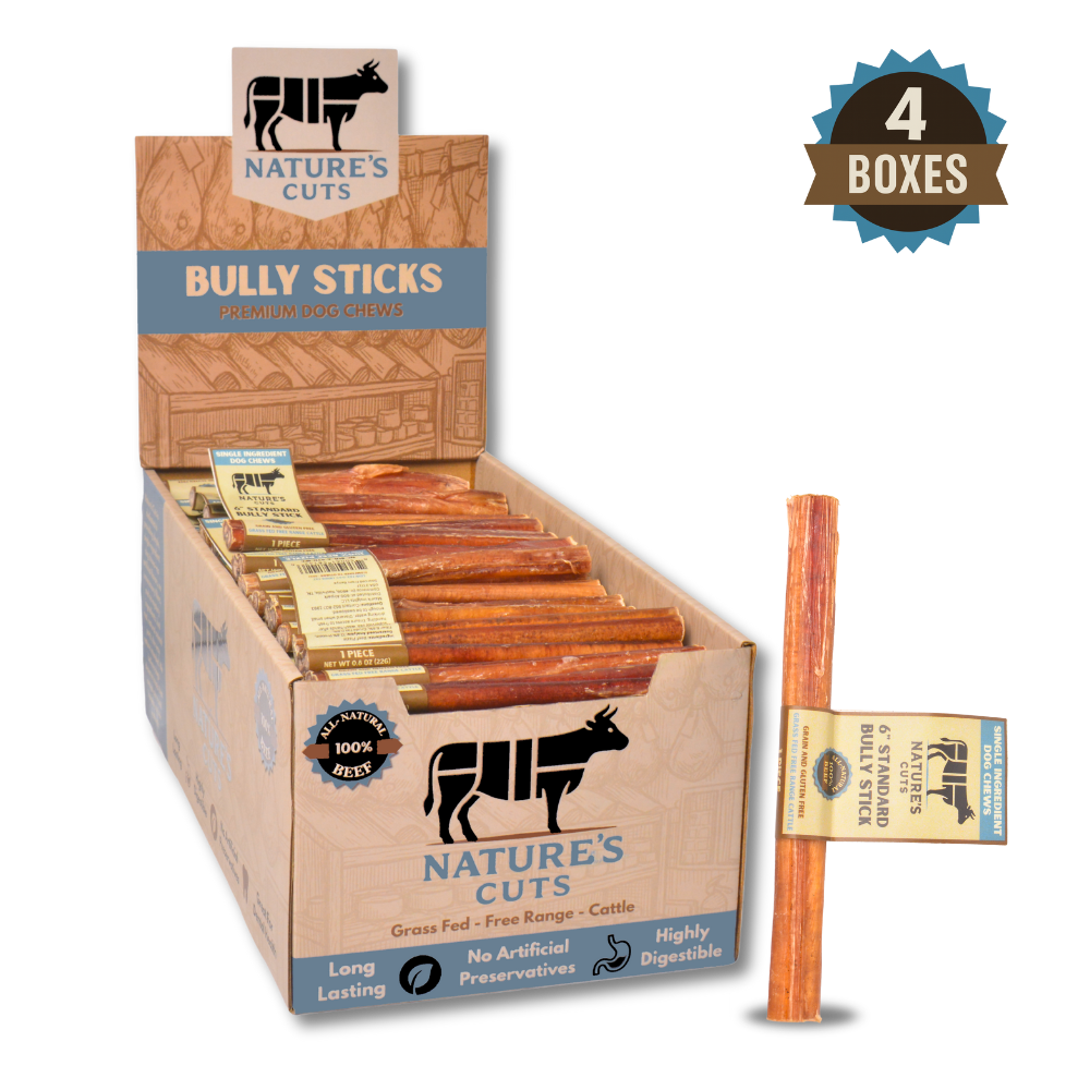 6" Standard Bully Sticks Display Box by Mighty Chewz
