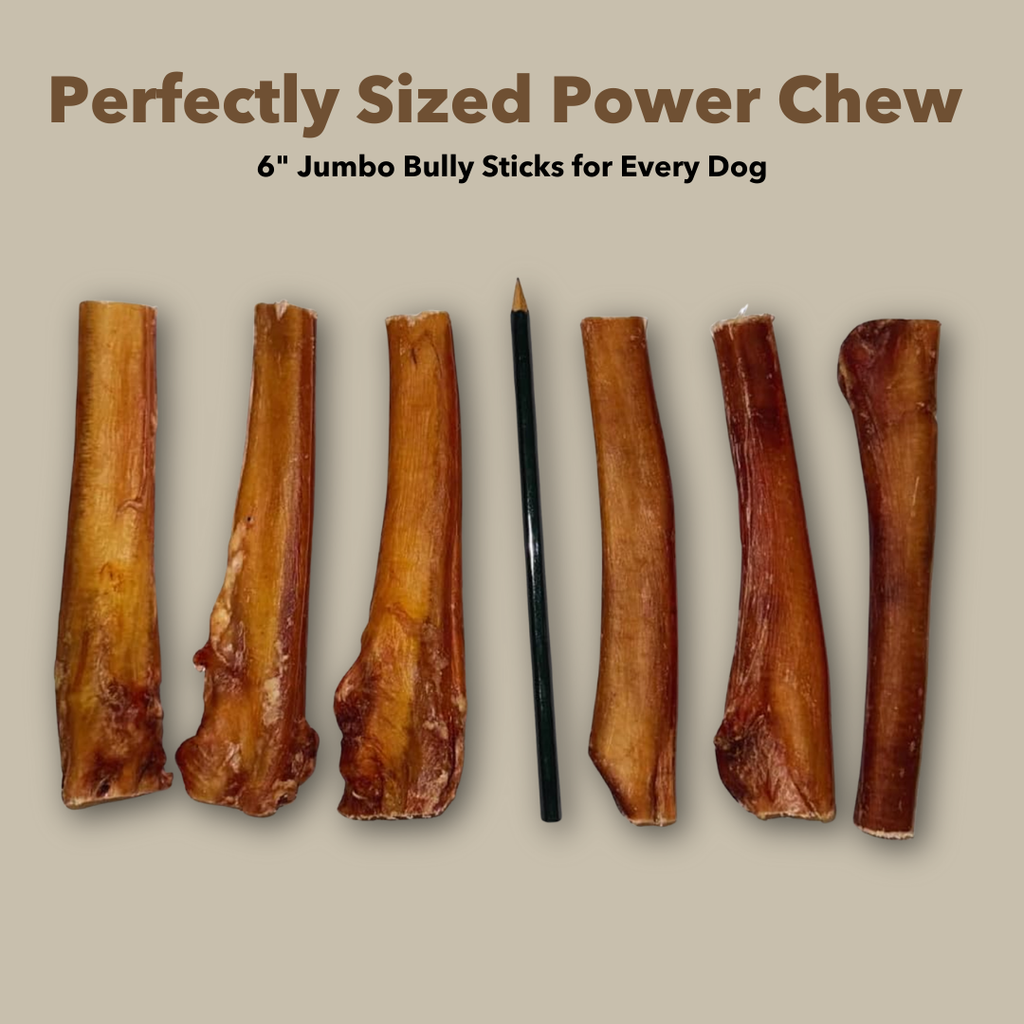 6" Jumbo Bulk Bully Sticks by Mighty Chewz
