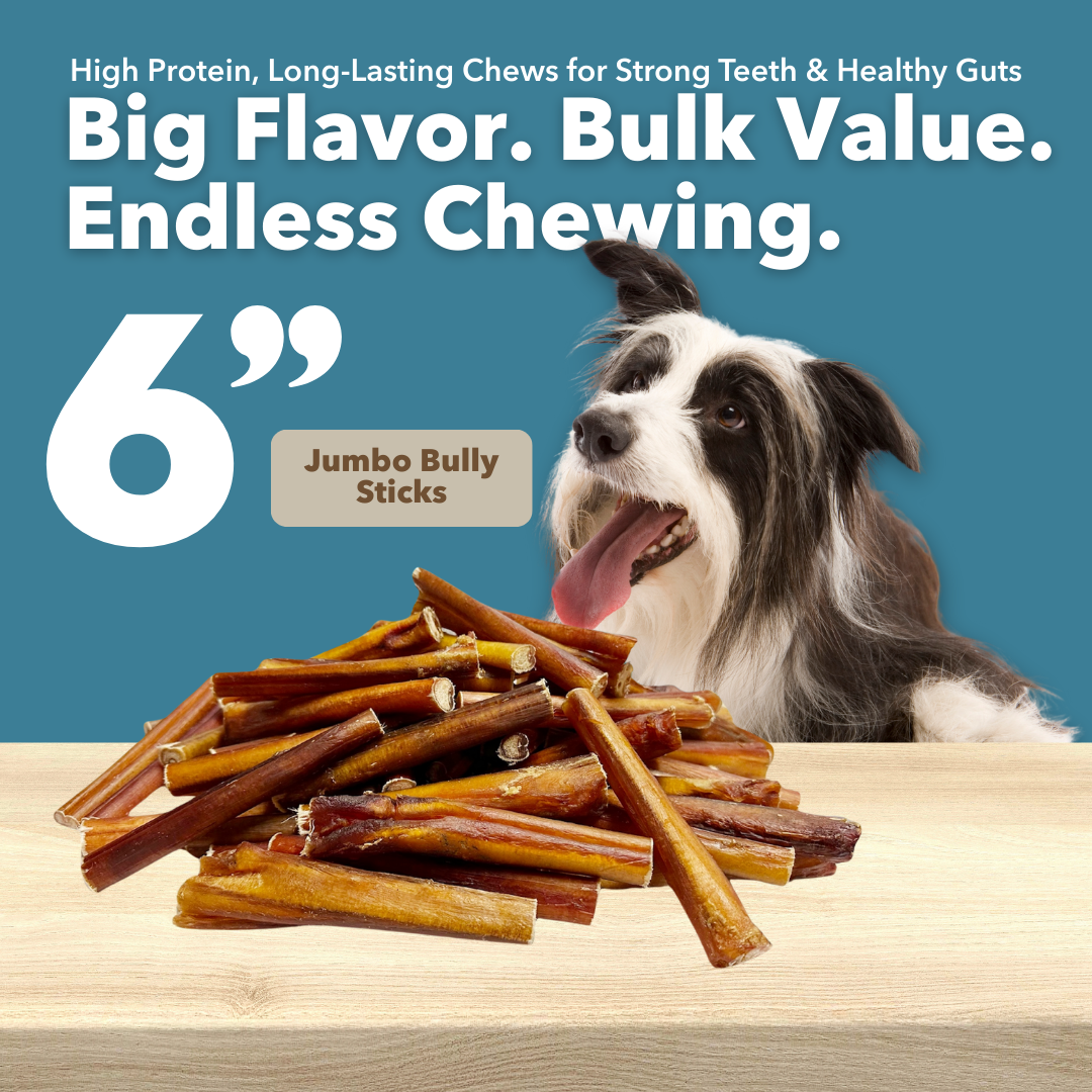 6" Jumbo Bulk Bully Sticks by Mighty Chewz
