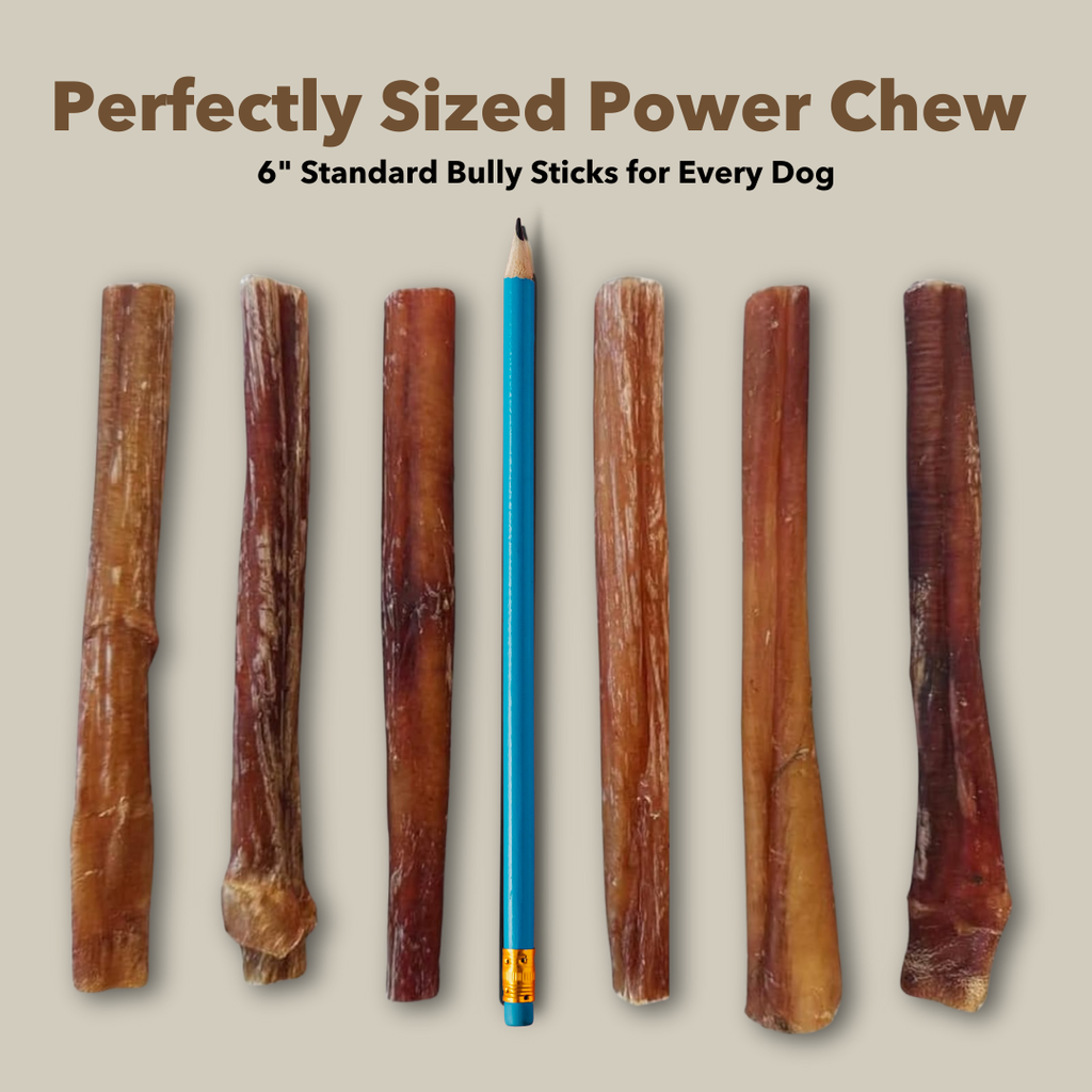6" Standard Bully Sticks Display Box by Mighty Chewz