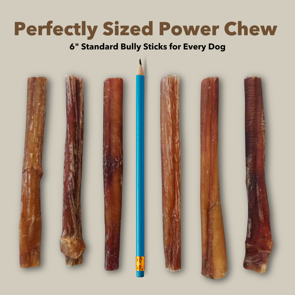 6" Standard Bulk Bully Sticks by Mighty Chewz