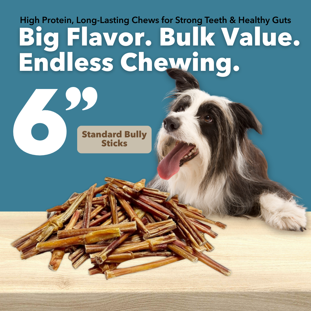 6" Standard Bulk Bully Sticks by Mighty Chewz