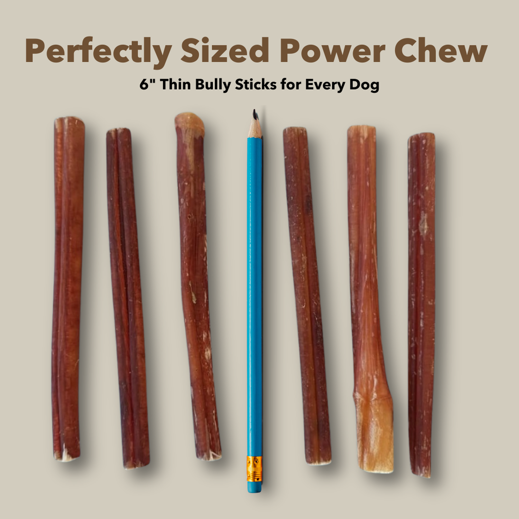 6" Thin Bulk Bully Sticks by Mighty Chewz