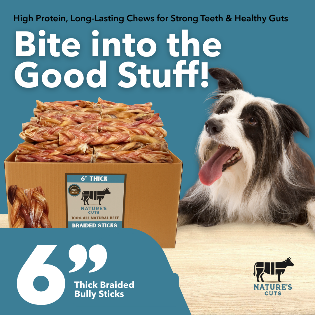 6" Thick Braided Bully Sticks by Mighty Chewz