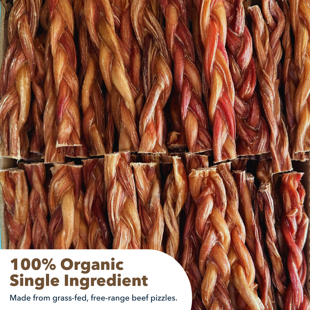 6" Thick Braided Bully Sticks by Mighty Chewz