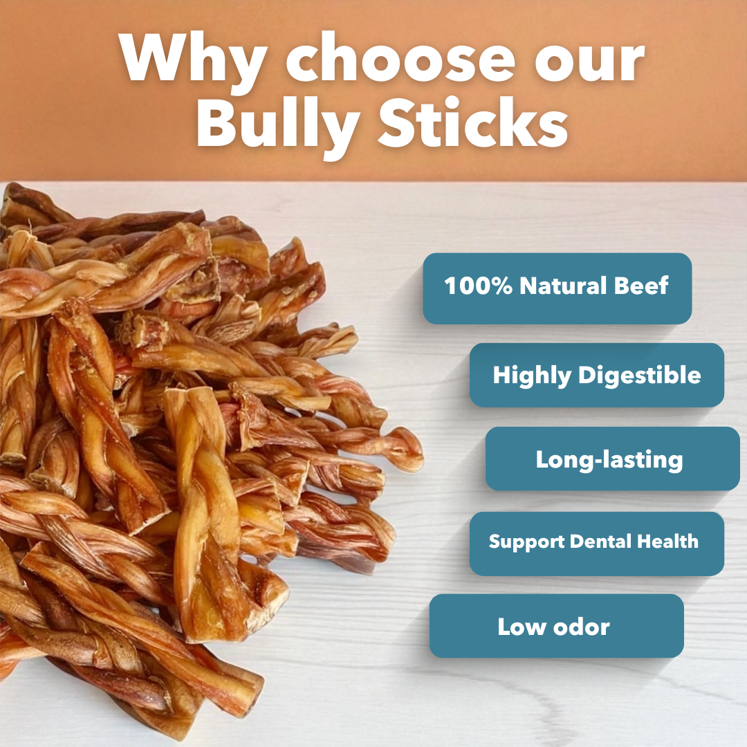 6" Thick Braided Bully Sticks by Mighty Chewz