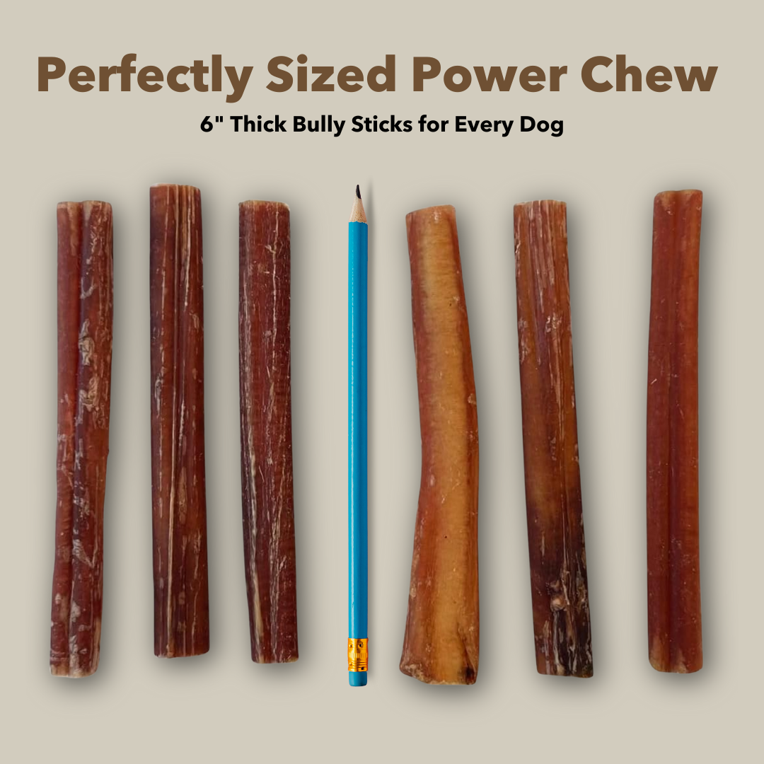 6" Thick Bulk Bully Sticks by Mighty Chewz