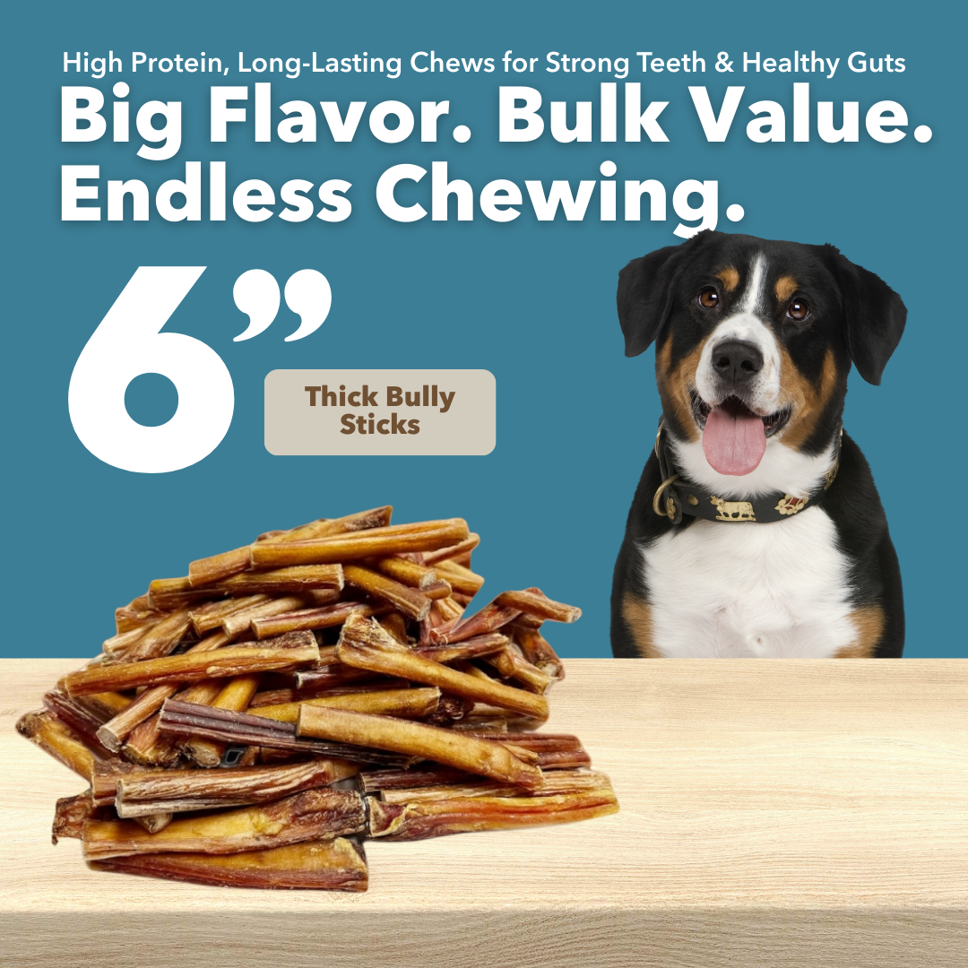 6" Thick Bulk Bully Sticks by Mighty Chewz