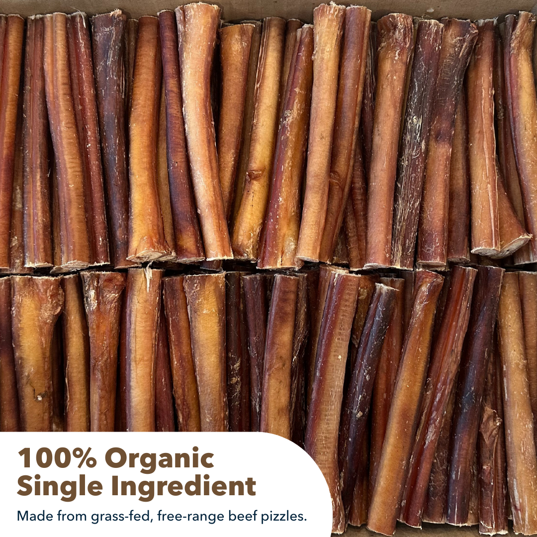 6" Thick Bulk Bully Sticks by Mighty Chewz