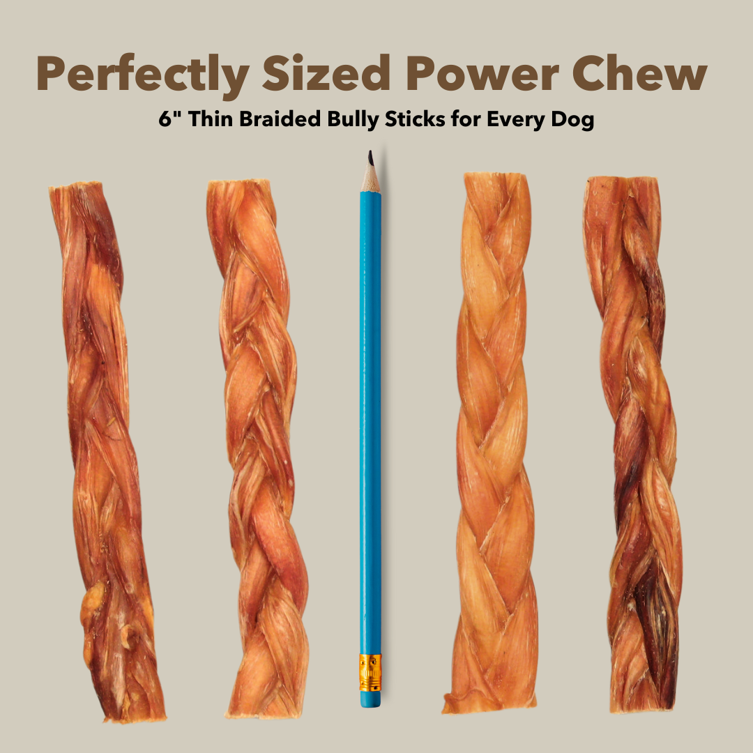 6" Thin Braided Bulk Bully Sticks by Mighty Chewz