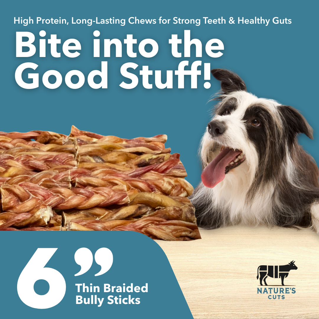 6" Thin Braided Bulk Bully Sticks by Mighty Chewz
