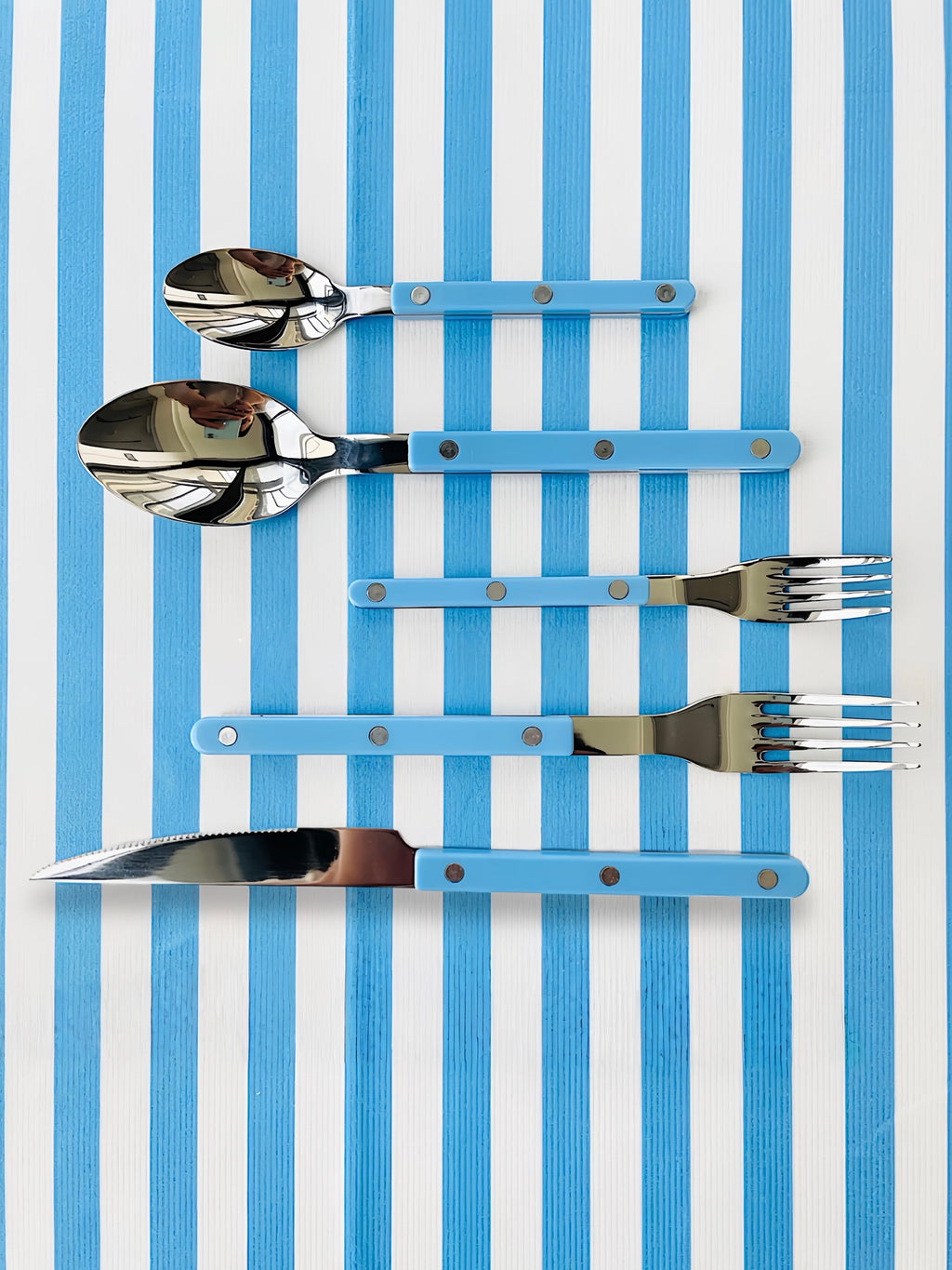 Set of 10 Dopamine Stainless Steel Rivet Flatware, Contemporary Bistrot Style Cutlery