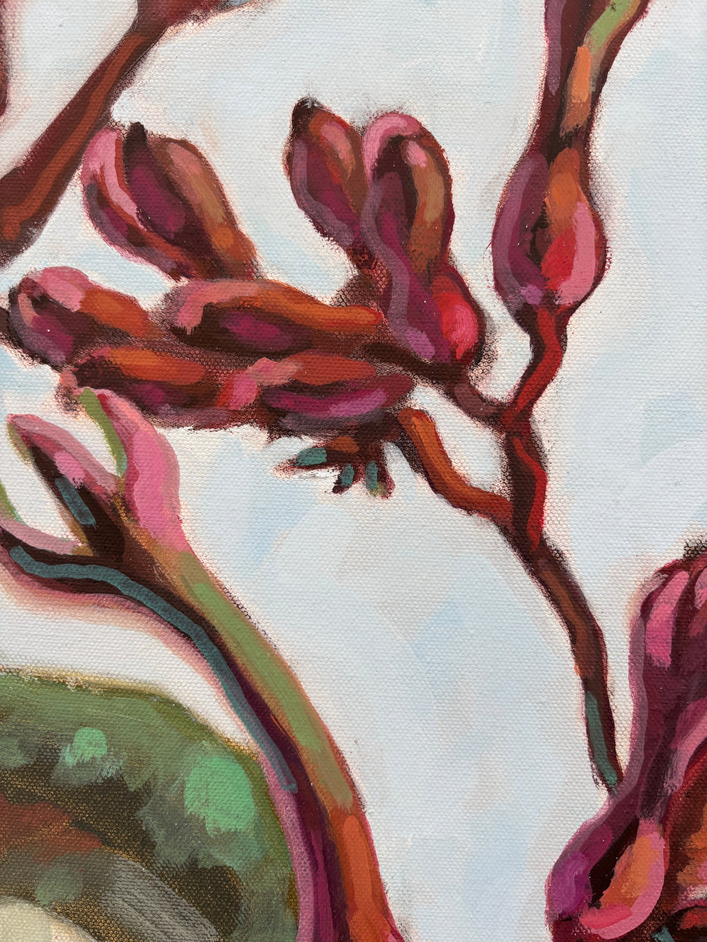 Wild Paws