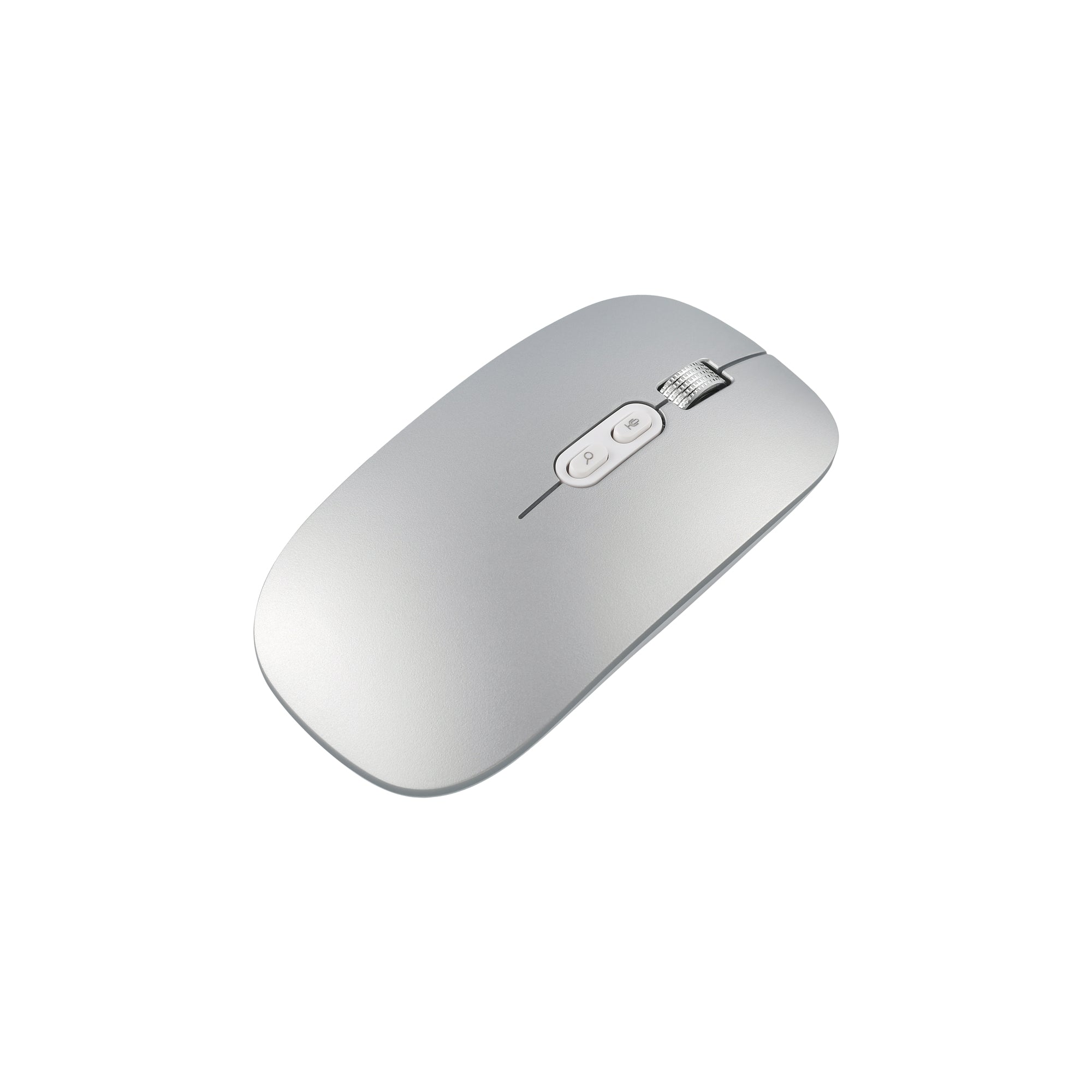 Voice to Text Mouse