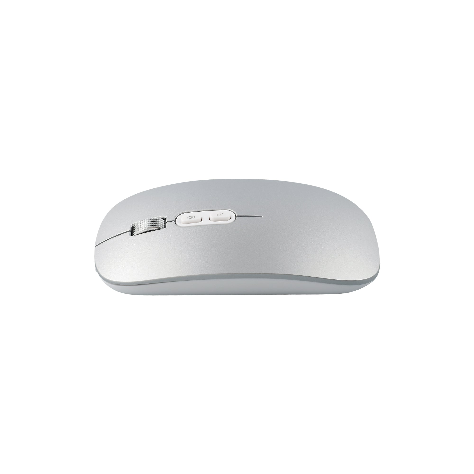 Voice to Text Mouse
