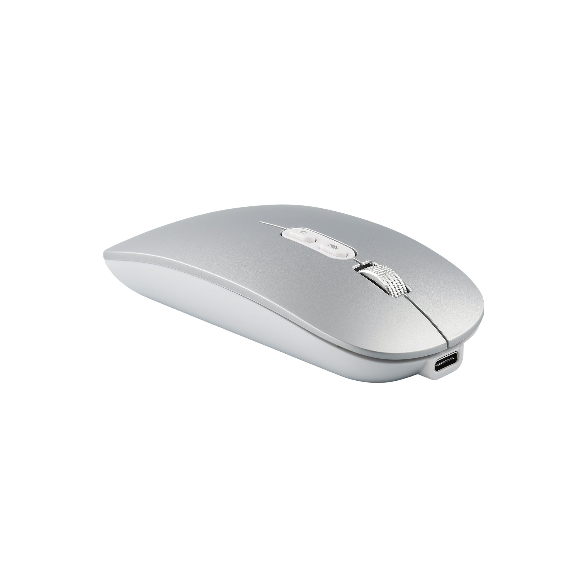Voice to Text Mouse