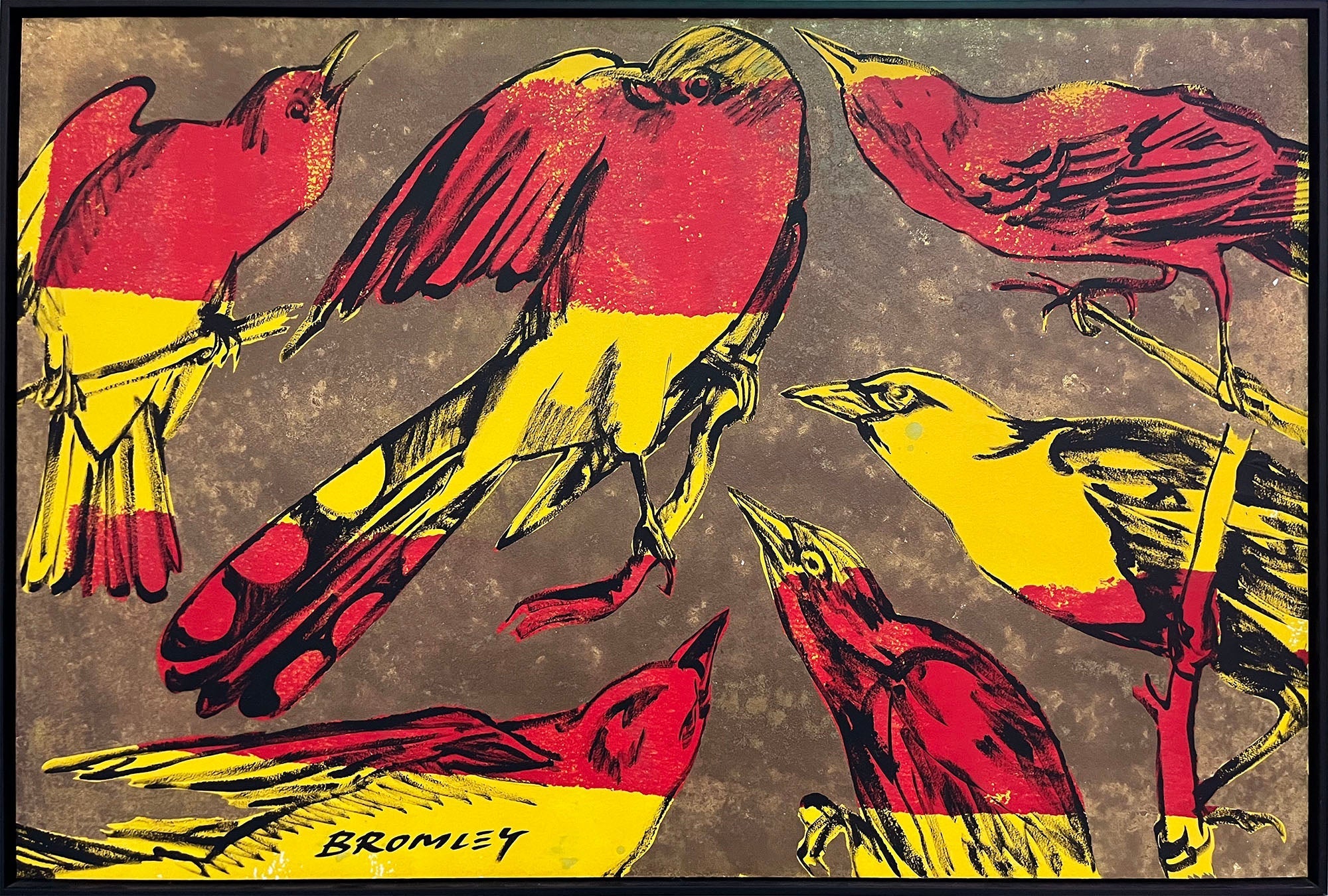 Birds
