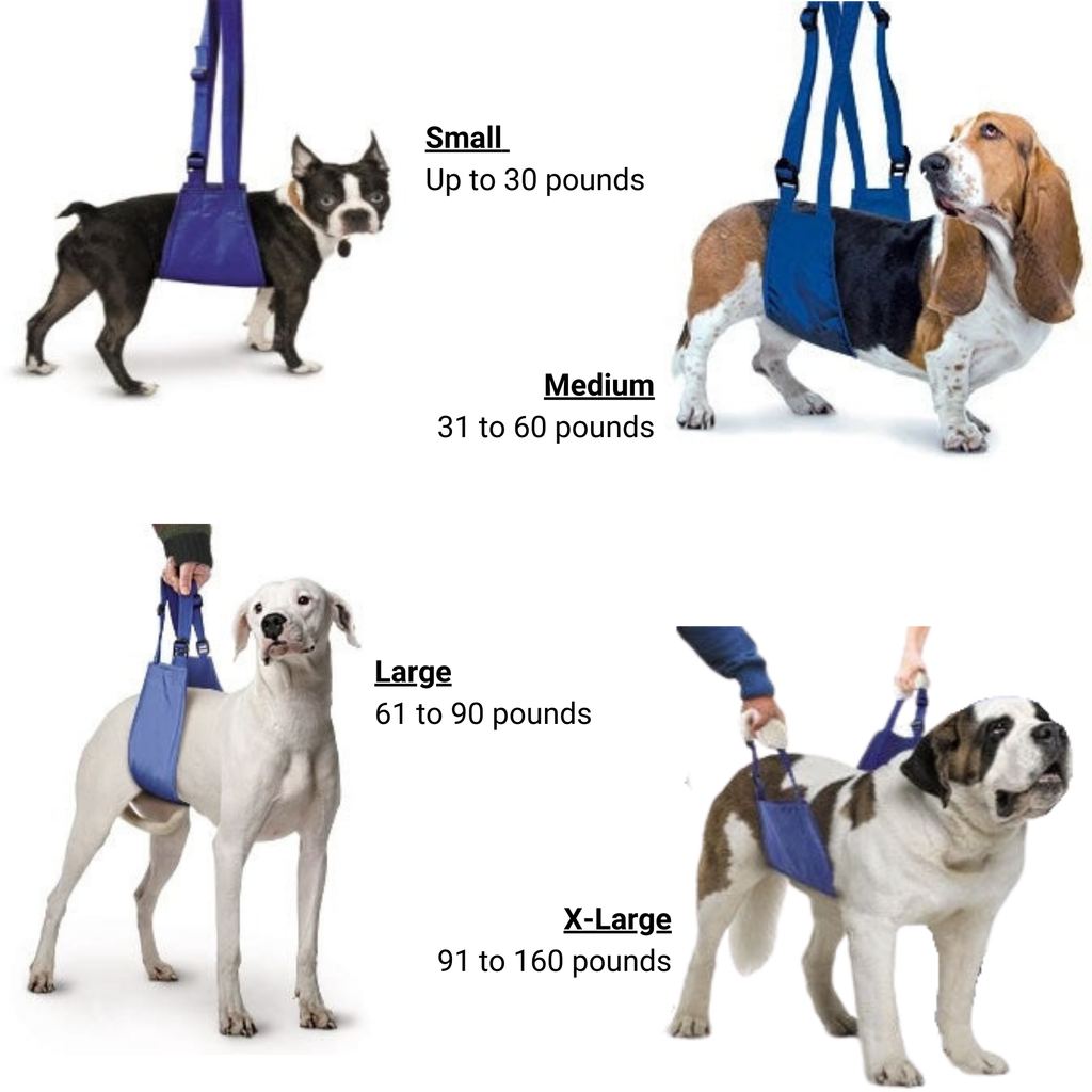 Original Quick Lift Small-XL