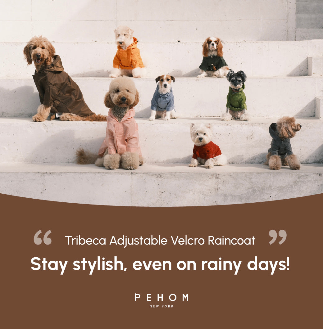 Tribeca Adjustable Velcro Raincoat -  Choco