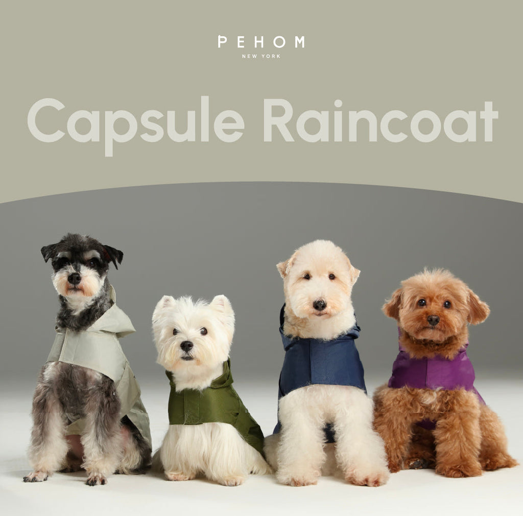 Capsule Raincoat - Beige