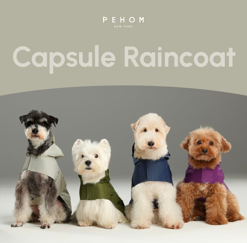 Capsule Raincoat - Blue