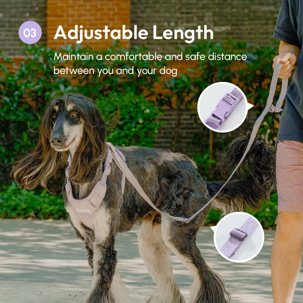 PADDED  ACTIVE  PET LEASH  - MINT PURPLE