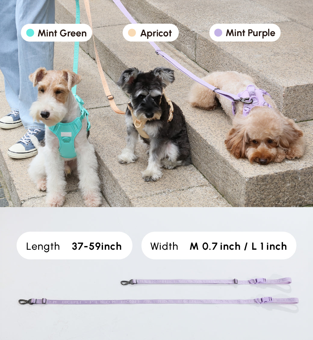 PADDED  ACTIVE  PET LEASH  - MINT GREEN