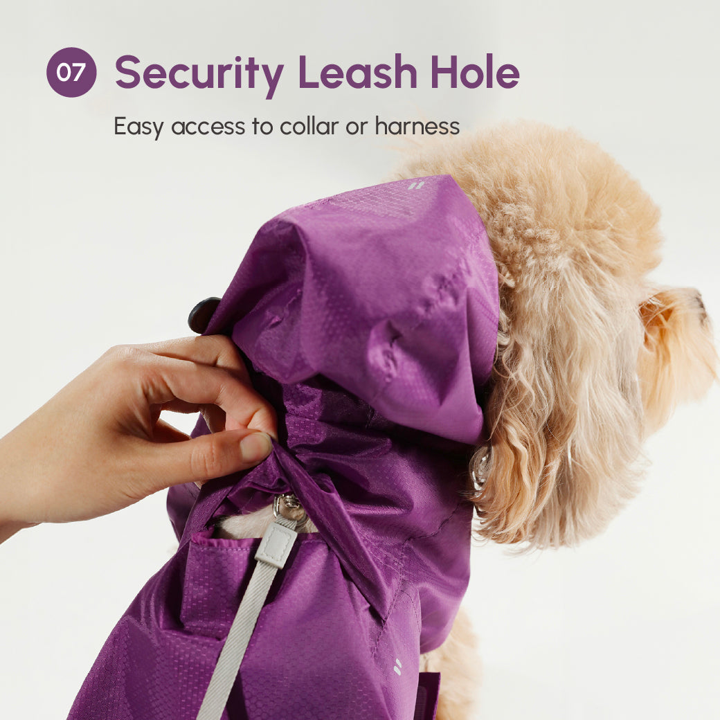 Capsule Raincoat - Purple